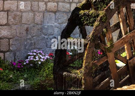 Eine Wassermühle mit Wasser aus dem Fluss Ljuta, umgeben von wunderschönen Blumen neben einem traditionellen kroatischen Restaurant in Konavle, der ländlichen Gegend sout Stockfoto