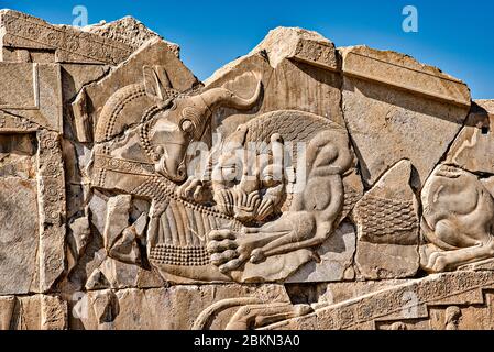 Bas-Relief des Löwen verschlingenden Stiers, der zoroastrian Nowruz, Persepolis, Iran, darstellt. Stockfoto