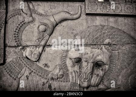 Bas-Relief des Löwen verschlingenden Stiers, der zoroastrian Nowruz, Persepolis, Iran, darstellt. Stockfoto