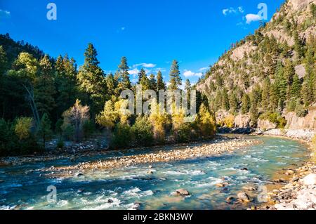 Animas River aus der Durango & Silverton Narrow Gauge Railroad gesehen. Colorado, USA. Stockfoto