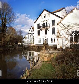 Margaret Thomas Künstlerin (1916-2016) in ihrem Atelier in einer Wassermühle bei Bungay Suffolk UK 2003 Stockfoto