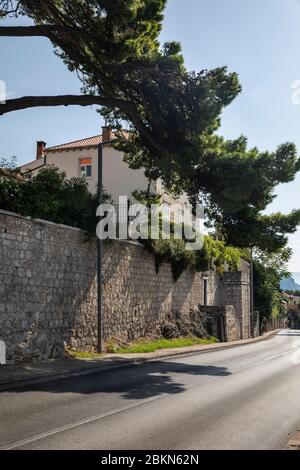 Eine Straße in Dubrovnik, Straße in die Altstadt in Dalmatien Kroatien mit viel Grün, eine große Kiefer, ein Haus und die historischen rustikalen Mauern mit großen bri Stockfoto