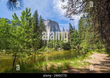 Blick auf den Merced River, der durch das Yosemite Valley fließt, Yosemite Nationalpark, UNESCO Weltkulturerbe, Kalifornien, USA, Nordamerika Stockfoto