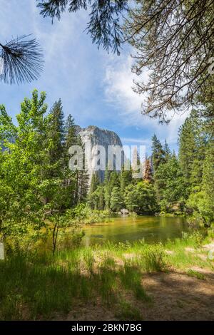 Blick auf den Merced River, der durch das Yosemite Valley fließt, Yosemite Nationalpark, UNESCO Weltkulturerbe, Kalifornien, USA, Nordamerika Stockfoto