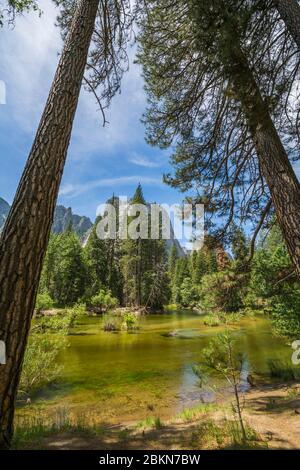 Blick auf den Merced River, der durch das Yosemite Valley fließt, Yosemite Nationalpark, UNESCO Weltkulturerbe, Kalifornien, USA, Nordamerika Stockfoto