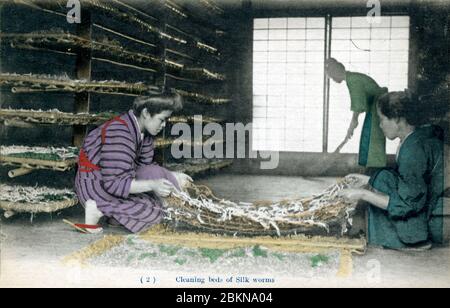 [ 1910 Japan - Japanische Seidenzucht ] - zwei Frauen putzen die Betten von Seidenraupen. Hinten fegen eine Frau mit einem Besen den Boden. Diese Postkarte stammt aus einer Serie über die Serikultur, die die Schritte zeigt, die bei der Seidenherstellung erforderlich sind. Dies ist Karte 2. Vintage-Postkarte des 20. Jahrhunderts. Stockfoto