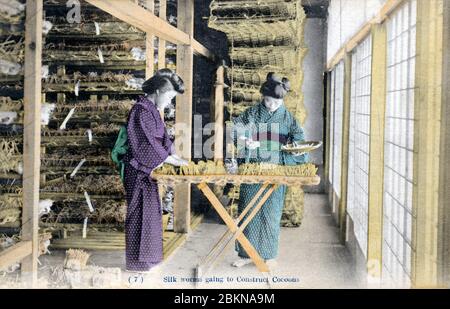 [ 1910 Japan - Japanische Seidenzucht ] - zwei Frauen verbreiten reife Seidenraupen auf vorbereiteten Betten, wo sie zu Kokons reifen. Diese Postkarte stammt aus einer Serie über die Serikultur, die die Schritte zeigt, die bei der Seidenherstellung erforderlich sind. Dies ist Karte 7. Vintage-Postkarte des 20. Jahrhunderts. Stockfoto