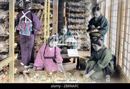 [ 1910er Japan - Japanische Seidenfarm ] - zwei Frauen sammeln Seidenkokons. Ein Mann hält einen soroban, einen japanischen Abakus, während der andere Kokons wiegt. Diese Postkarte stammt aus einer Serie über die Serikultur, die die Schritte zeigt, die bei der Seidenherstellung erforderlich sind. Dies ist Karte 10. Vintage-Postkarte des 20. Jahrhunderts. Stockfoto