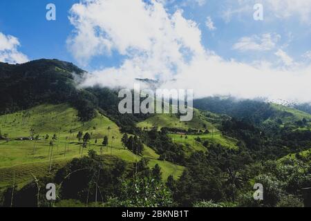 Blick auf ein palmenbeladenes Tal auf einem Plateau in Kolumbien Stockfoto