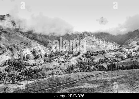 Blick auf ein palmenbeladenes Tal auf einem Plateau in Kolumbien Stockfoto