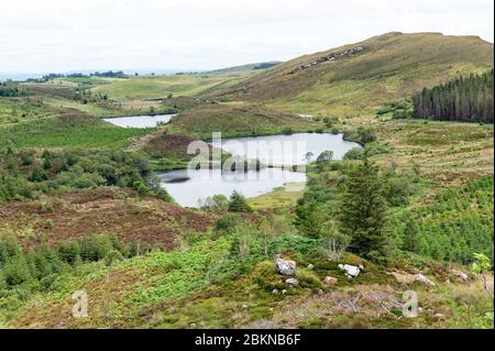 Loug Nabricboy und Meenagleragh Seen in Big Dog Forest, Co. Fermanagh, Nordirland Stockfoto