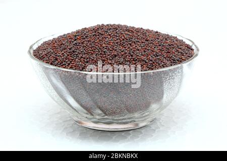 Braun oder schwarzer Senf Seeds in einer Glasschale Stockfoto