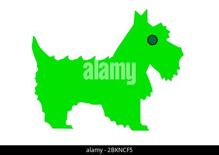 st. patrick's Day Hund Tradition traditionelle Gras . Stockfoto