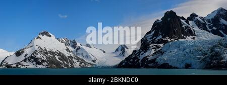 Drygalski Fjord, schwimmende Eisberge, Südgeorgien, Südgeorgien und die Sandwichinseln, Antarktis Stockfoto