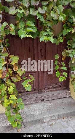 Unterer Teil des verlassenen Gebäudeeingangs mit Weinrebe und frischen grünen Blättern bewachsen. Alte braune Holztür und Steintreppen aus verfallenen Haus Stockfoto