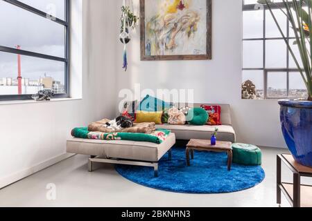 Eindhoven, Niederlande, 2. Februar 2020. Ein Innenraum eines geräumigen Industriestadtlofts mit hoher Decke und großen Fenstern. Ein Bohemian, modern, Stockfoto