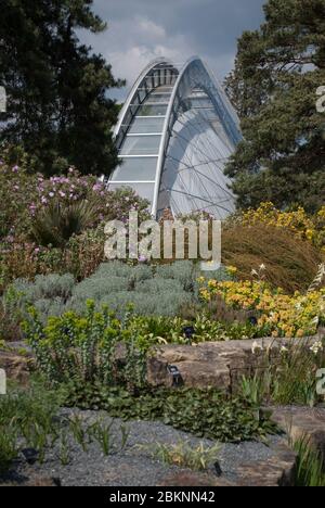 Davies Alpine House Glasbogen Dachverglasung Moderne Architektur Royal Botanic Gardens Kew Gardens, Richmond, London von Wilkinson Eyre Atelier Ten Stockfoto