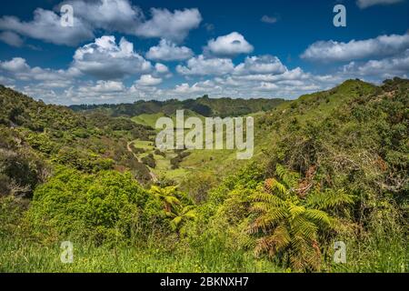 Blick vom Pohokura Sattel, alte Eisenbahnschienen, Forgotten World Highway (SH43), Taranaki Region, Nordinsel, Neuseeland Stockfoto