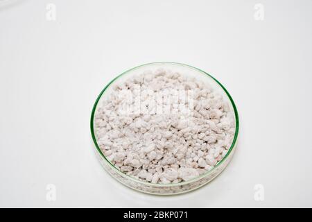 Perlit Mineral Stone in Petrischale auf weißem Hintergrund Stockfoto
