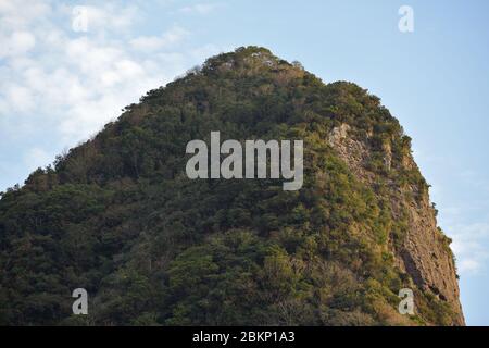 Cycad Rock, Kagoshima, Südküste, Japan Stockfoto