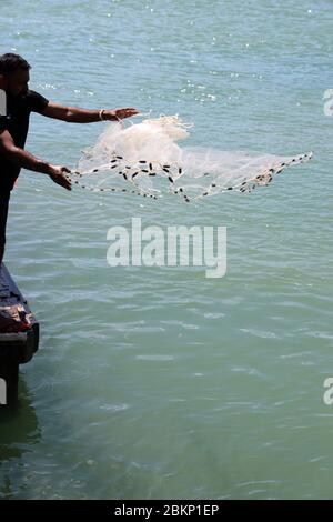 Mann geschickt Gießen ein gewichtetes Fischernetz. Netzguß, Netzwerfen. Raglan Wharf, North Island, Neuseeland. Vollformat. Stockfoto