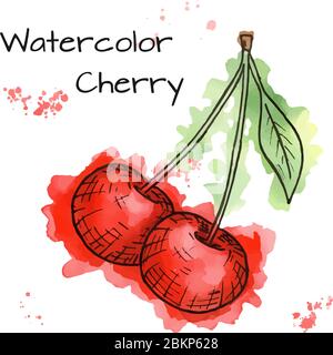 Vector Kirschen in Aquarell gemalt. Von Hand gezeichnete Berrier. Farbenfrohe Skizze Stock Vektor
