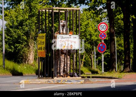 05. Mai 2020, Nordrhein-Westfalen, Münster: Ein Aktivist des Tierrechtsstreffs Münster, der als Tiger gekleidet ist, steht in einem Käfig vor dem Allwetterzoo. Der Allwetterzoo öffnet am 5. Mai 2020 erstmals seit der Ausbreitung des Corona-Virus seine Pforten für Besucher. Foto: Rolf Vennenbernd/dpa Stockfoto