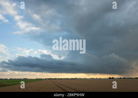 Dramatic looking storm cloud over the dutch countryside at dusk Stockfoto