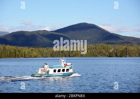 Eine kleine Fähre fährt durch die pazifischen Gewässer des Great Bear Rainforest, in der Nähe von Bella Bella, British Columbia, Kanada. Stockfoto