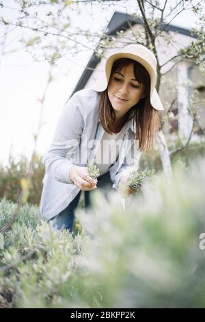 Junge Frau mit Hut sammelt Kräuter aus dem Hinterhof. Porträt einer Gärtnerin, die zerrissene Pflanzen hält und Kräuter im Garten pflückt. Stockfoto