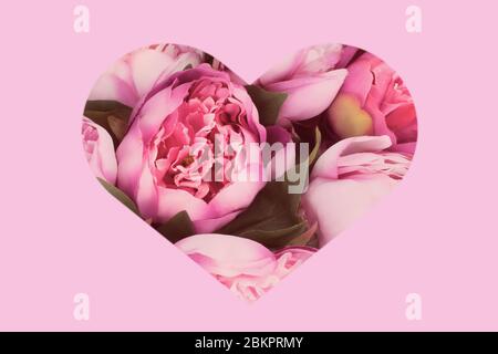 Rosa herzförmiger Rahmen mit Pfingstrosen. Blumen Urlaub Grußkarte Hintergrund - Muttertag, Frauen Tag, Valentinstag. Stockfoto