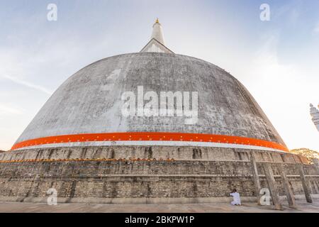 Buddhistisches Beten in Ruwanwelisaya Stupa, im historischen Park Anuradhapura, Sri Lanka. Stockfoto