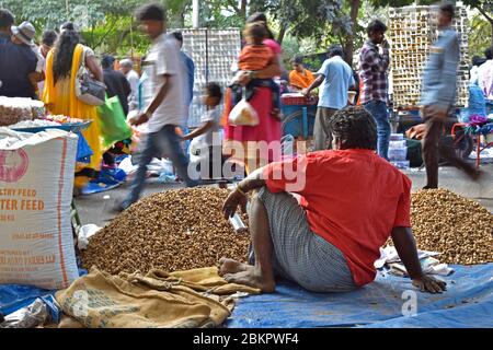 Groundnut Messe in Bangalore ist ein jährliches Auftreten, das Massen in den tausend zieht. Stockfoto