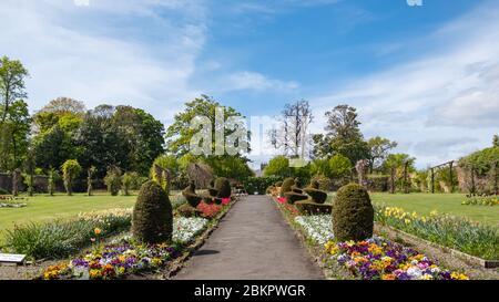 Glasgow, Schottland, Großbritannien. Mai 2020. UK Wetter: Heißer und sonniger Nachmittag im Walled Garden im Bellahouston Park. Kredit: Skully/Alamy Live News Stockfoto