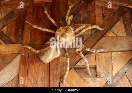 Große Tarantula an der Wand aus rauhen Hobelplanken. Statue riesige Spinne aus Holz. Braune Spielzeugspinne auf dem Holzboden. Selektiver Fokus. Stockfoto