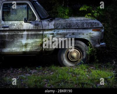 Verlassene LKW mit verwachsenem Unkraut und Weinstock, drmatisches Licht, Pennsylvania, USA Stockfoto