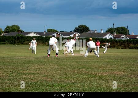 Village Cricket Match in Stoke Fleming, Devon Stockfoto