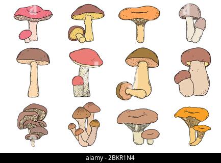 Handgezogene Pilze Stock Vektor