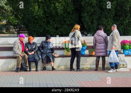 Sevastapol krim, Sevastapol ukraine, Sevastapol russland, russische Invasion, Sevastapol Blumenfest, Weiße Blume Wohltätigkeitsmesse, Weiße Blume Aktion Stockfoto