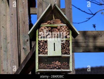 Biene und Bug Hotel, Holzkiste bietet Insekten Nistplatz, in Form eines Hauses Stockfoto