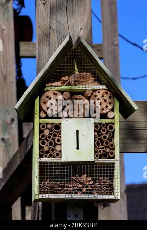 Biene und Bug Hotel, Holzkiste bietet Insekten Nistplatz, in Form eines Hauses Stockfoto