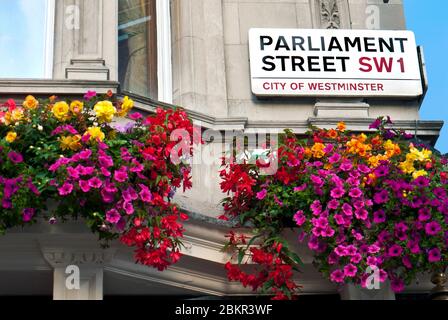 Straßenschild 'Parliament Street SW1 ULEZ City of Westminster' mit Petunien in Hängekörben, Houses of Parliament und 10 Downing Street London SW1 Stockfoto