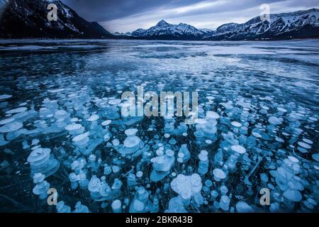 Kanada, Alberta, Lake Abraham, Methanblasen im Eis gefangen Stockfoto