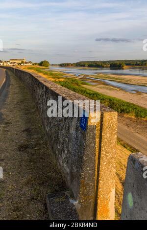 Frankreich, Maine et Loire, Loire-Tal, das von der UNESCO zum Weltkulturerbe erklärt wurde, St Cl'ment des Lev'es, Deich der Loire Stockfoto