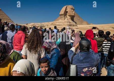 Ägypten, Kairo, Gizeh, UNESCO-Weltkulturerbe, die Pyramiden Sphinx, Chephren und Cheops Stockfoto