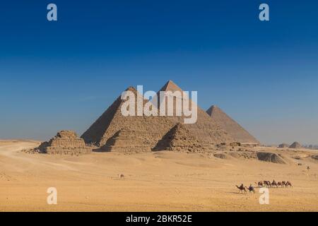 Ägypten, Kairo, Gizeh, UNESCO-Weltkulturerbe, Menkaure, Chephren und Cheops Pyramiden, Kamelfahrer Stockfoto