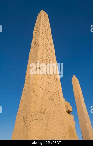 Ägypten, Oberägypten, Niltal, Luxor, Karnak, von der UNESCO zum Weltkulturerbe erklärt, Tempel des Amun, Obelisk der Hatschepsut Stockfoto