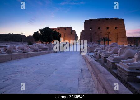 Ägypten, Oberägypten, Niltal, Luxor, Karnak, als Weltkulturerbe von der UNESCO, Tempel Amon Gott gewidmet Stockfoto