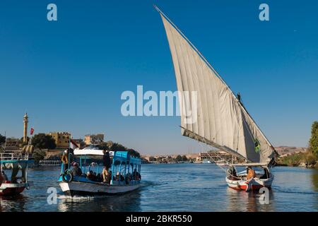 Ägypten, Oberägypten, nahe Elephanine Insel, Segler auf einer Felucca segelnd auf dem Nil Stockfoto