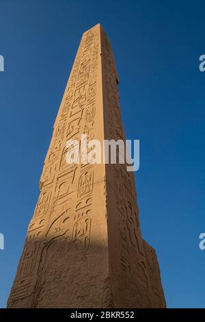 Ägypten, Oberägypten, Niltal, Luxor, Karnak, von der UNESCO zum Weltkulturerbe erklärt, Tempel des Amun, Obelisk der Hatschepsut Stockfoto